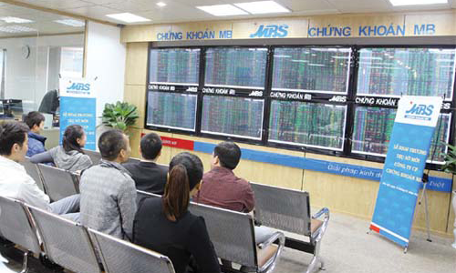MBS trước thềm Đại hội đồng cổ đông thường niên 2013